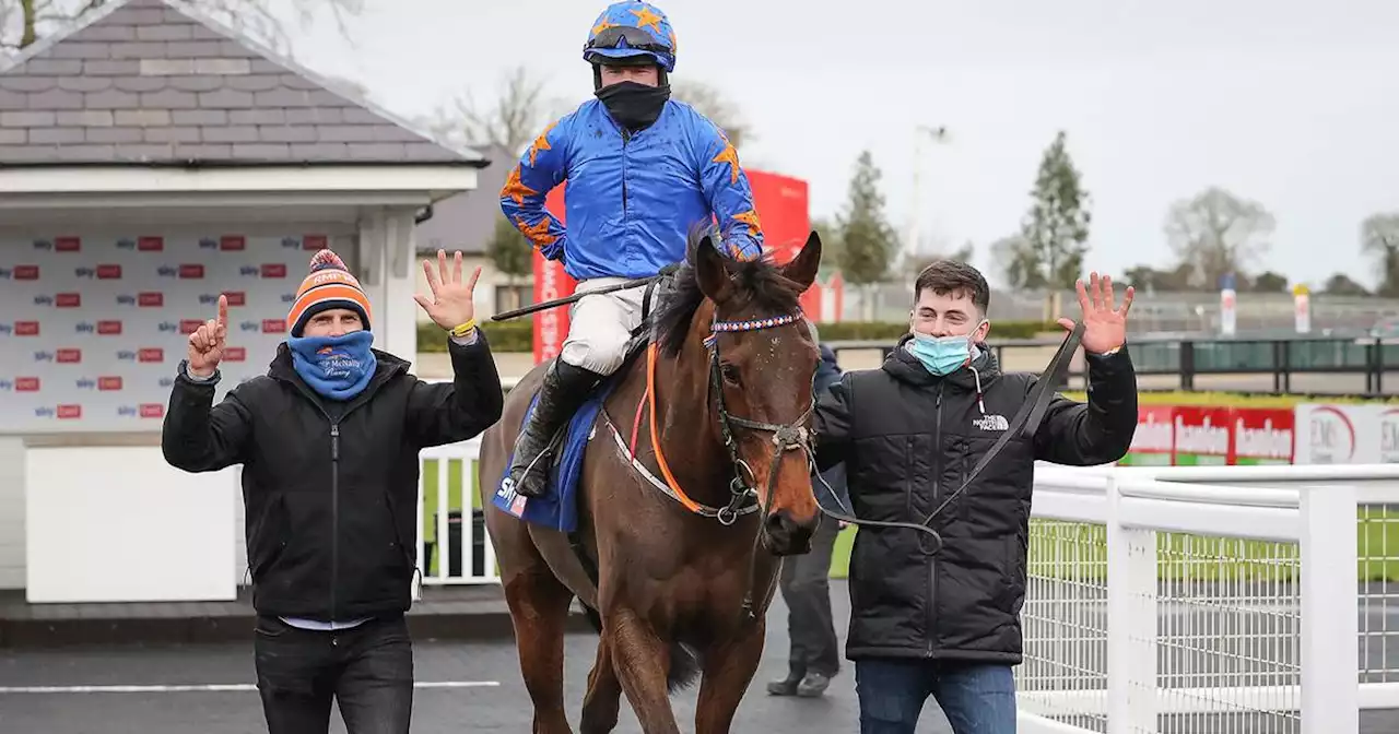 Trainer Ronan McNally found to have ‘concealed the true ability of horses’