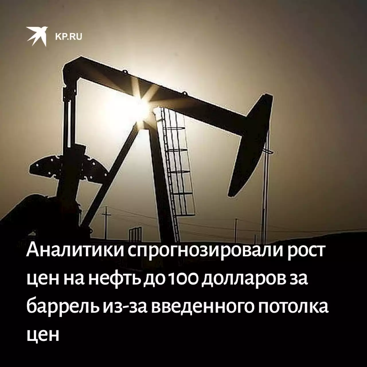 Аналитики спрогнозировали рост цен на нефть до 100 долларов за баррель из-за введенного потолка цен