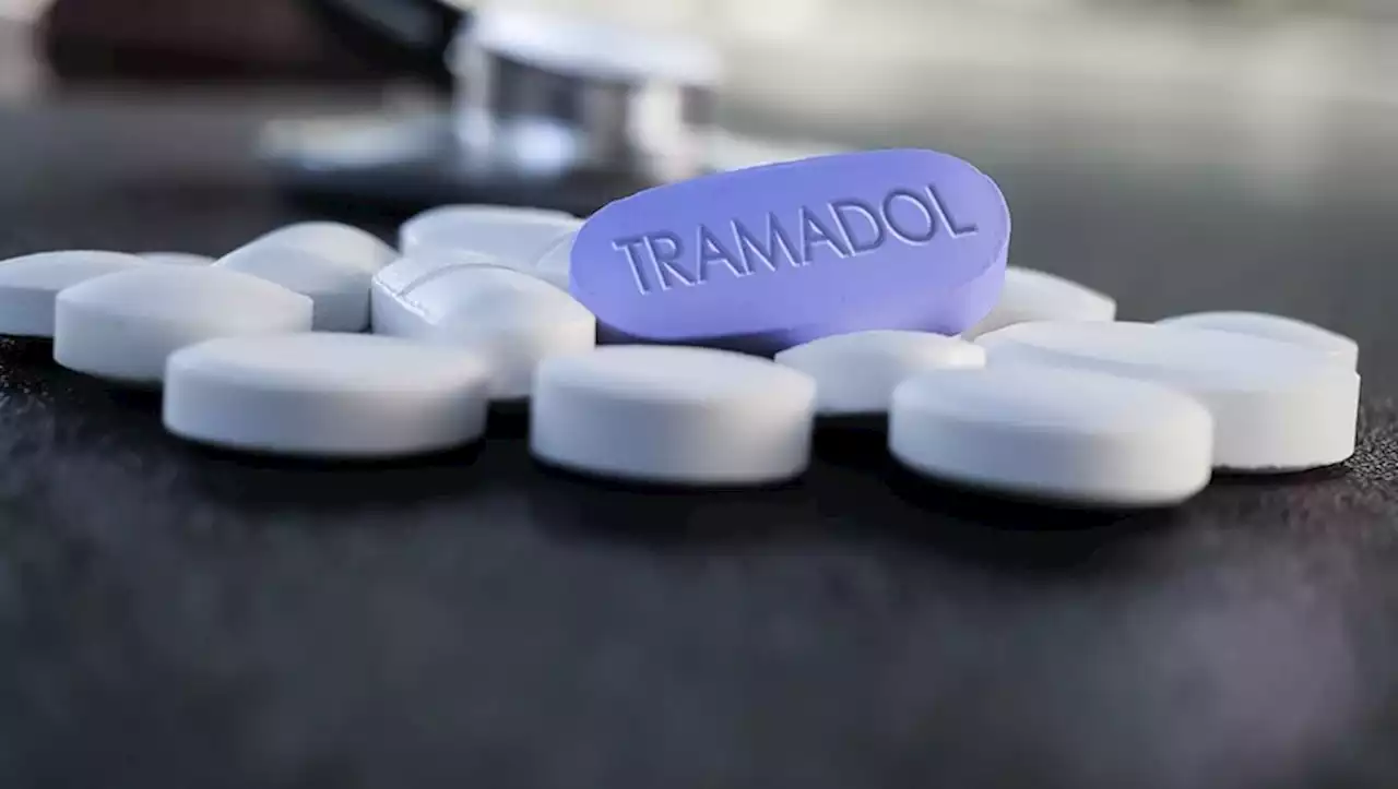 Haute-Garonne. Deux accros au Tramadol interpellés pour avoir falsifié des ordonnances