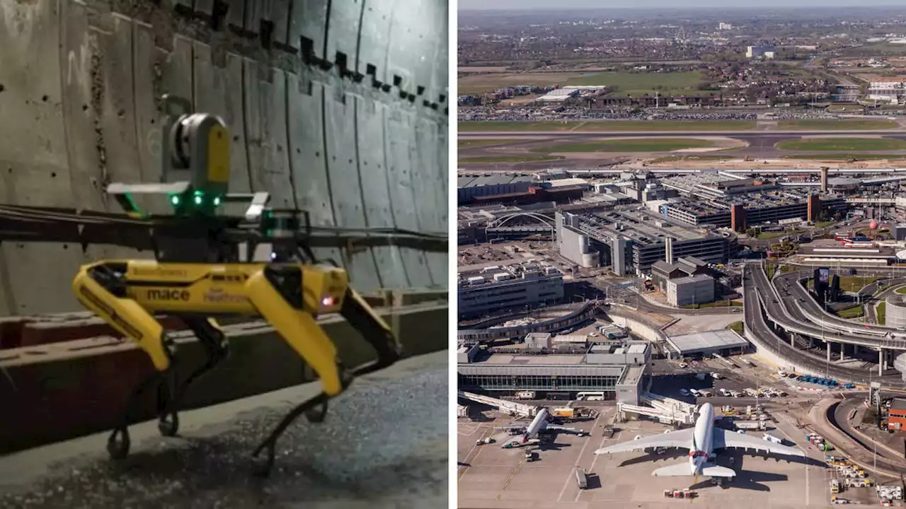 Robotic dog Dave lands 'job' at Heathrow as firms look to improve safety and efficiency on construction projects