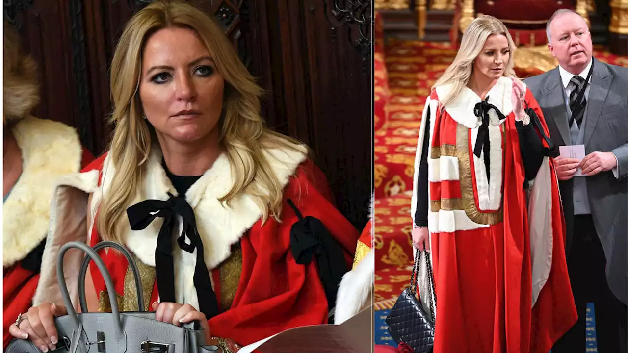 Tory peer Baroness Mone to take leave of absence from House of Lords amid PPE contract claims