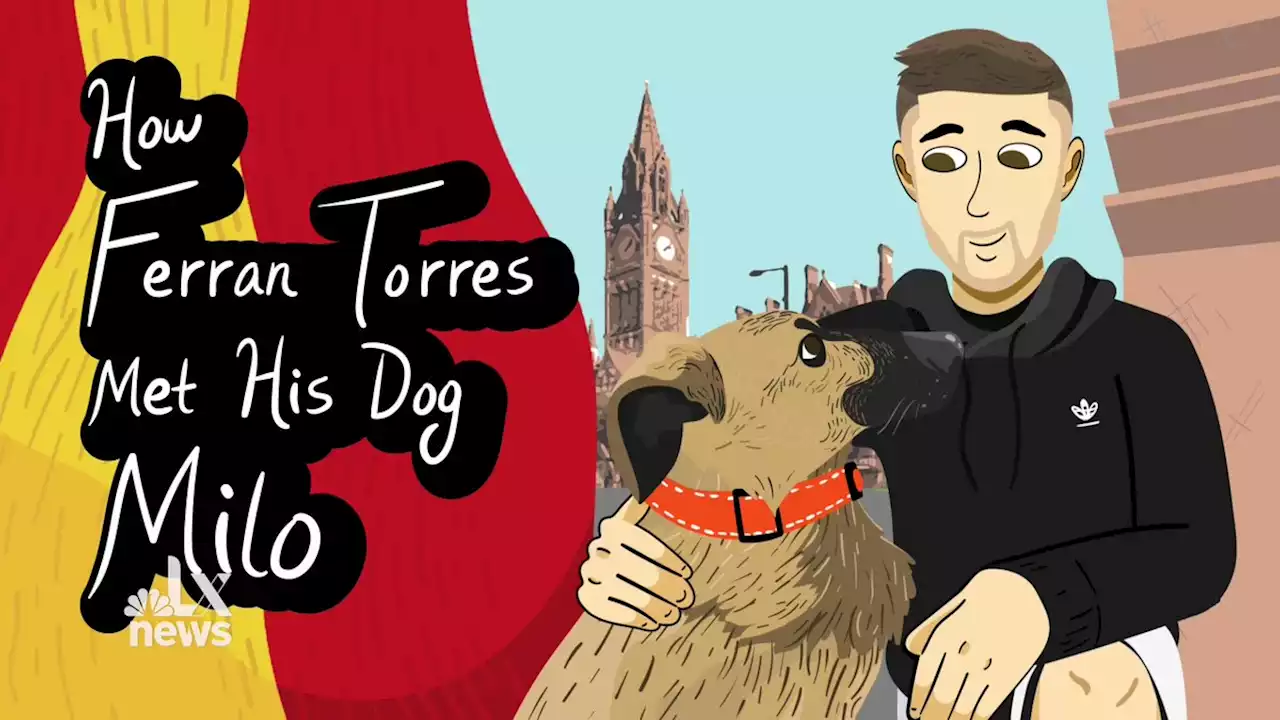 Ferran Torres: Score by rescuing stray dogs