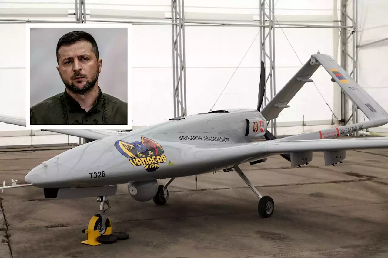 Full list of drones Ukraine has at its disposal