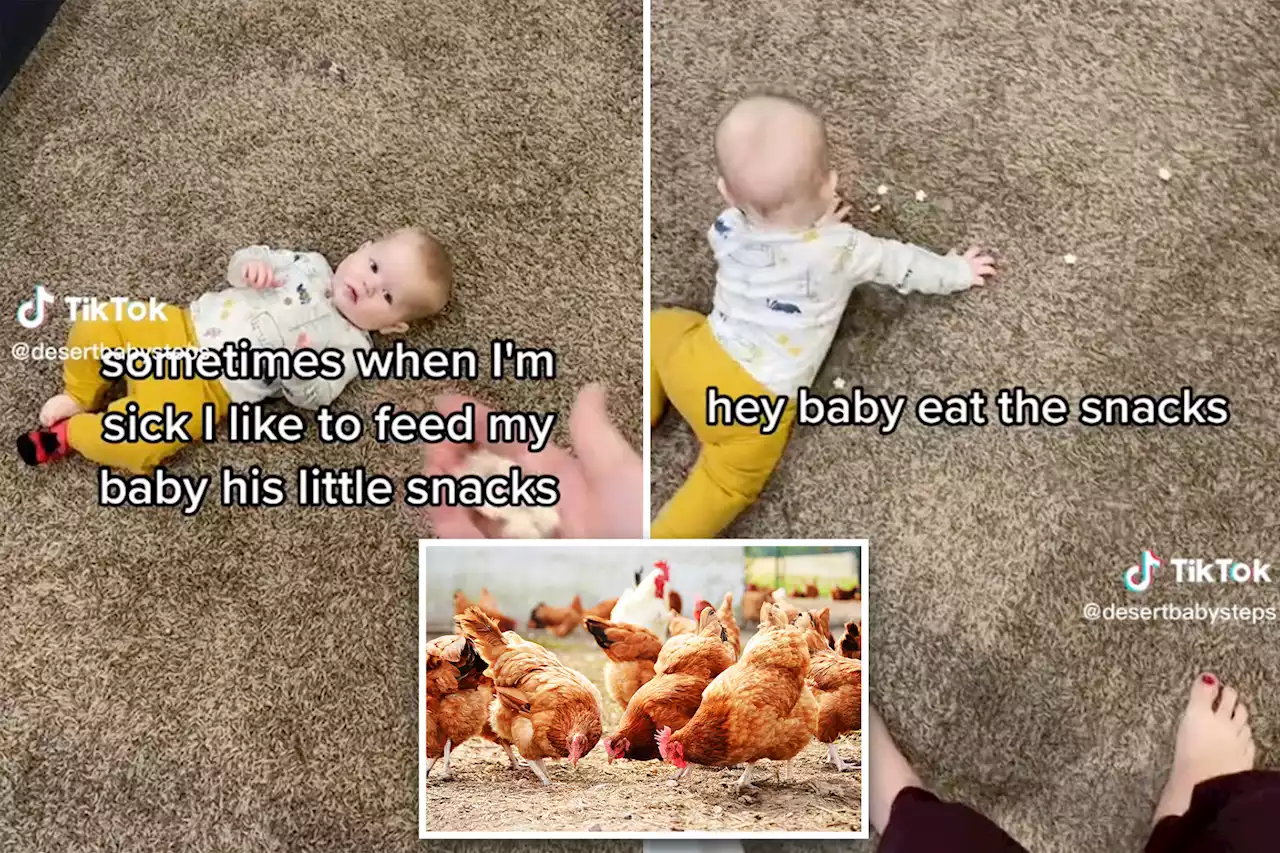 I make my baby eat food off the floor like a chicken — and he loves it