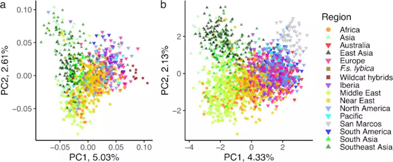 Genetics of randomly bred cats support the cradle of cat domestication being in the Near East - Heredity