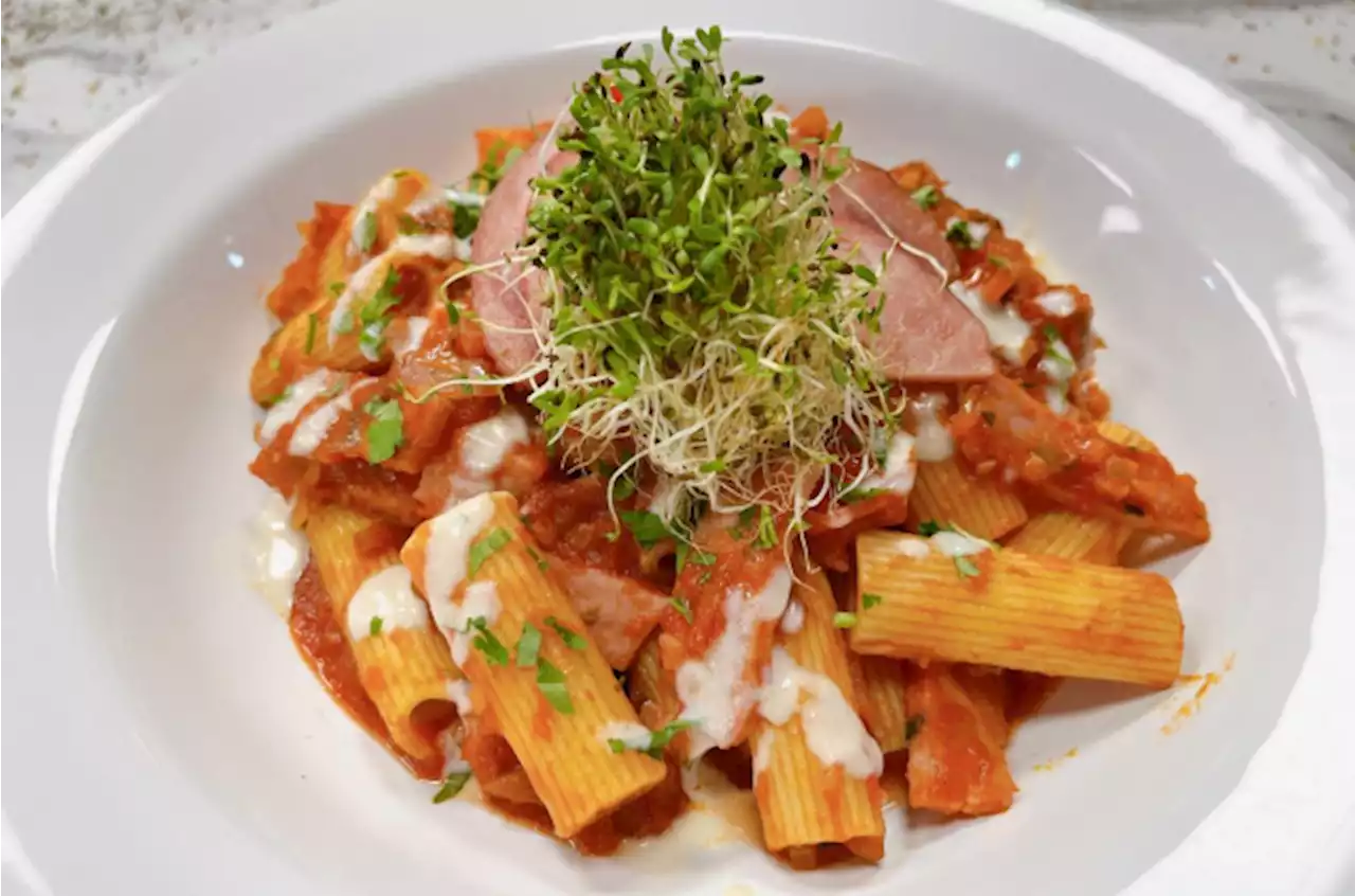 Rigatoni aos molhos branco e de tomate com tender | Band Receitas