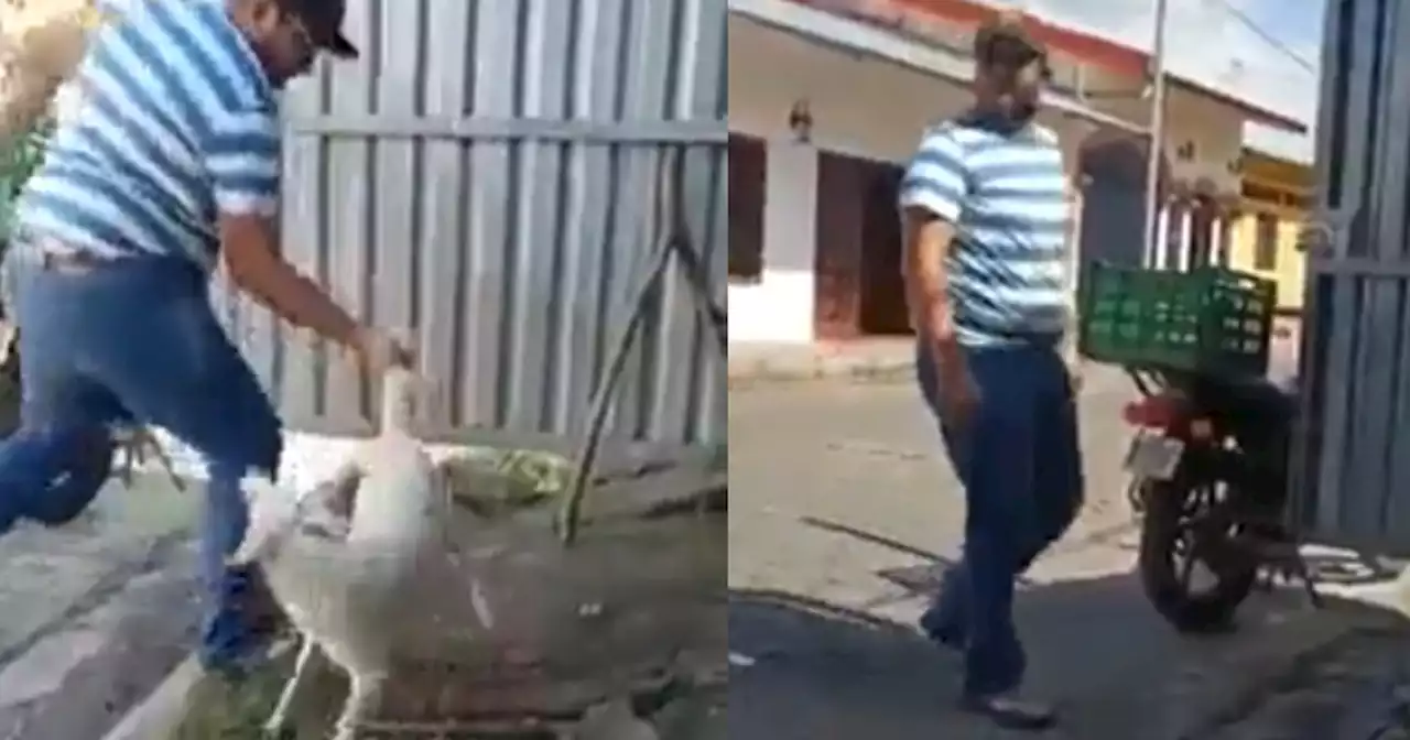 Aberrante: desalmado cogió por la cola a un perrito y lo aventó por diversión