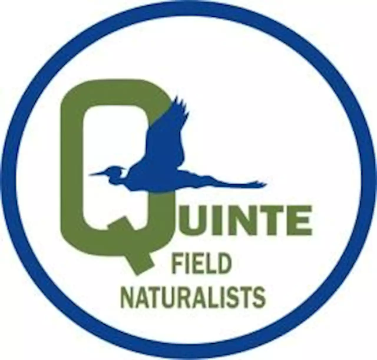 Requiem for Quinte wetlands to protest Bill 23