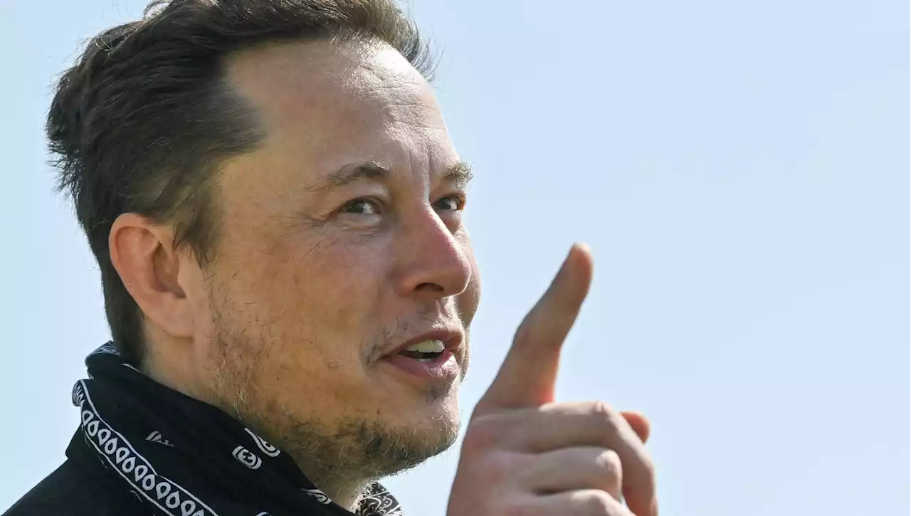 Elon Musk ha ringraziato l'informatico italiano che aiuta Twitter a scovare i pedofili