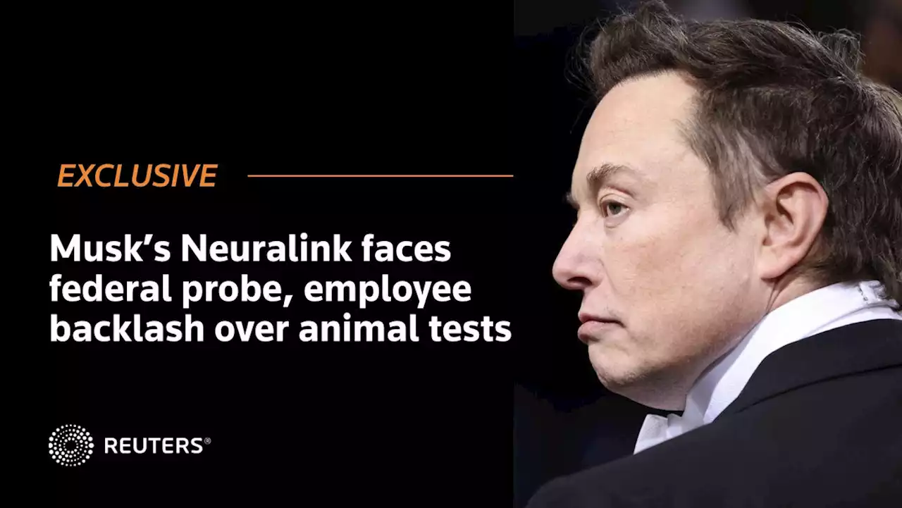 Exclusive: Musk’s Neuralink faces federal probe, employee backlash over animal tests