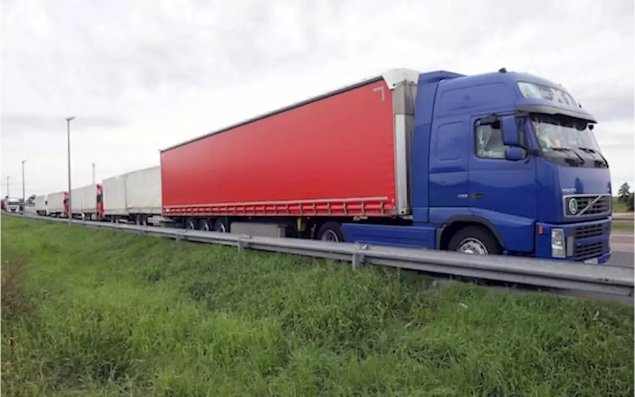 Camion si ribalta nel Cuneese, trasportava maiali: 30 animali morti