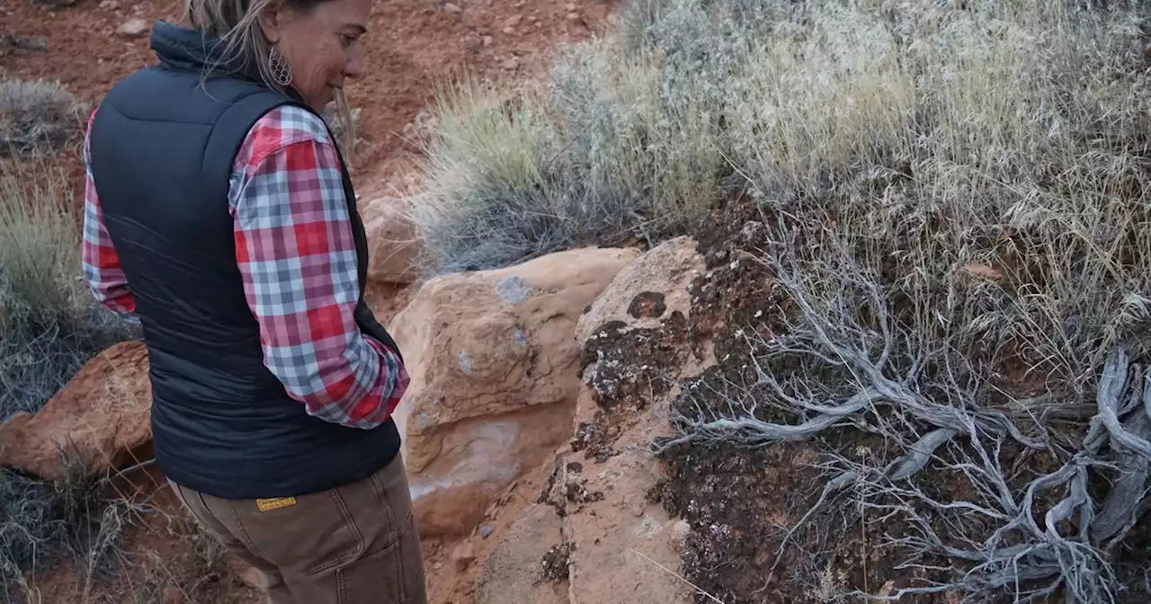 Scientists in Moab are working to understand how climate change will impact desert biocrusts