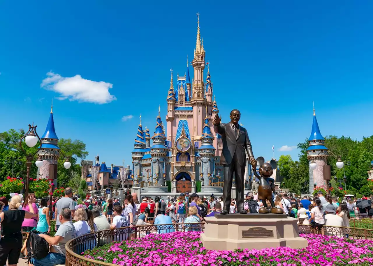 Is Disney World Lowering the Drinking Age to 18?