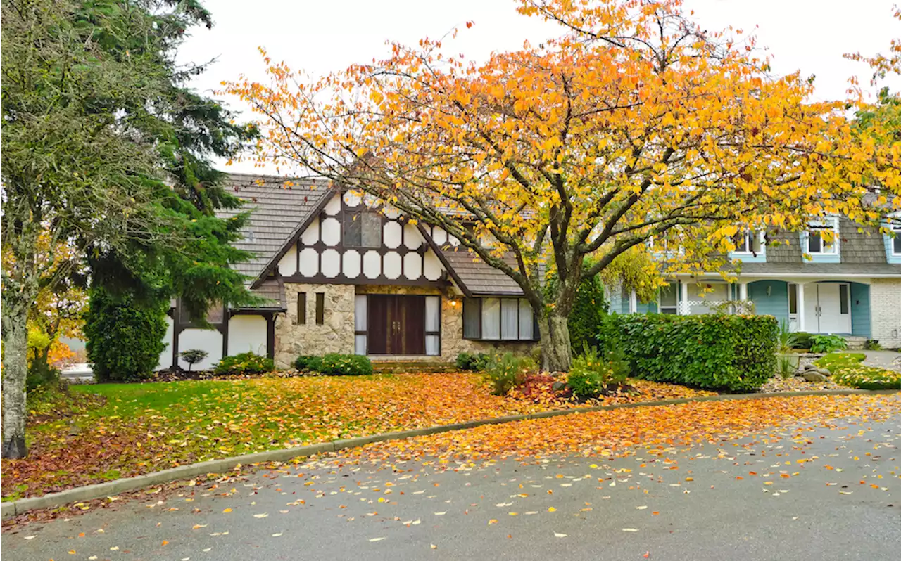 GTA Home Prices Slide 7% in November, New Listings Hit Historical Low