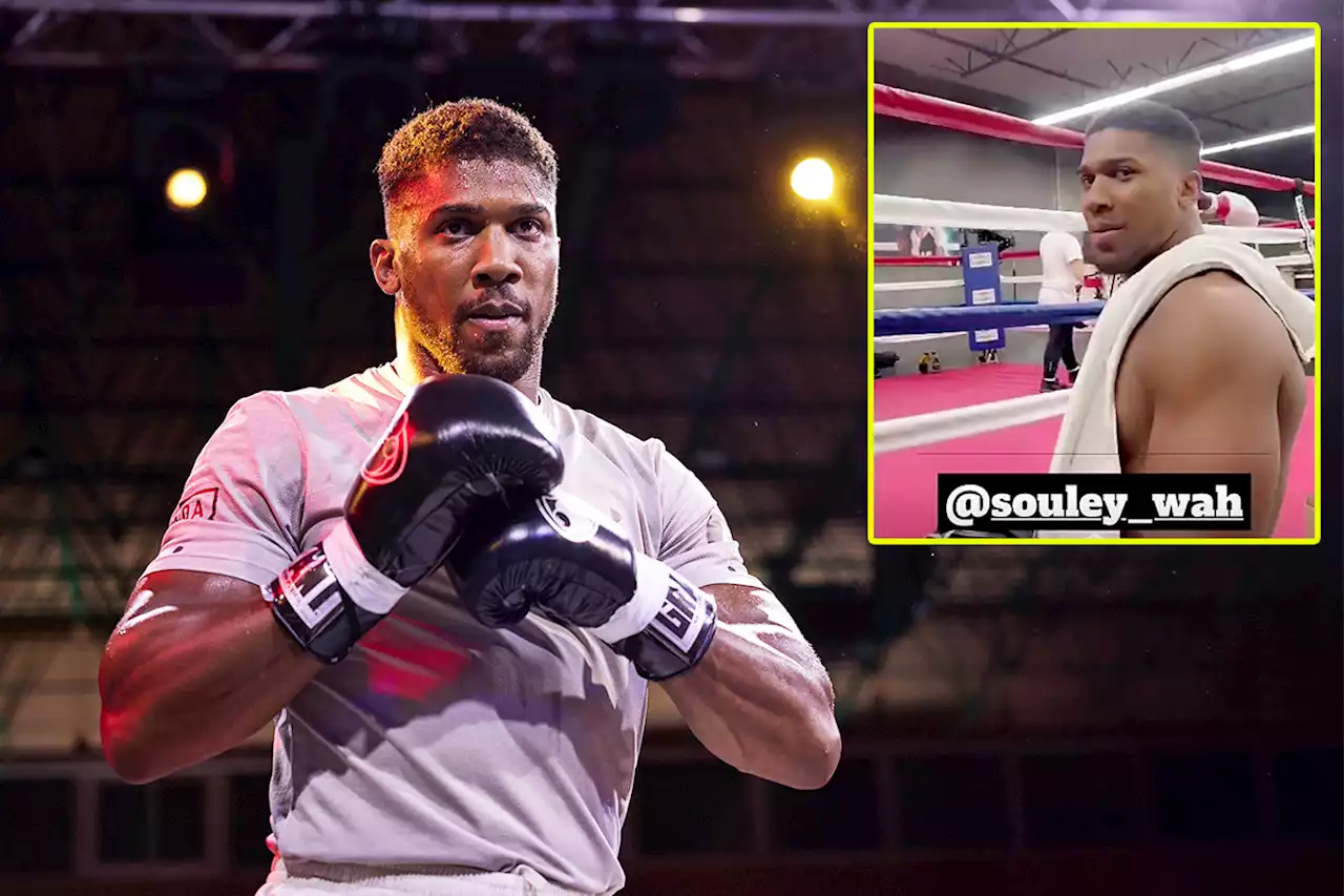 Anthony Joshua back on trainer hunt in USA ahead of 2023 comeback