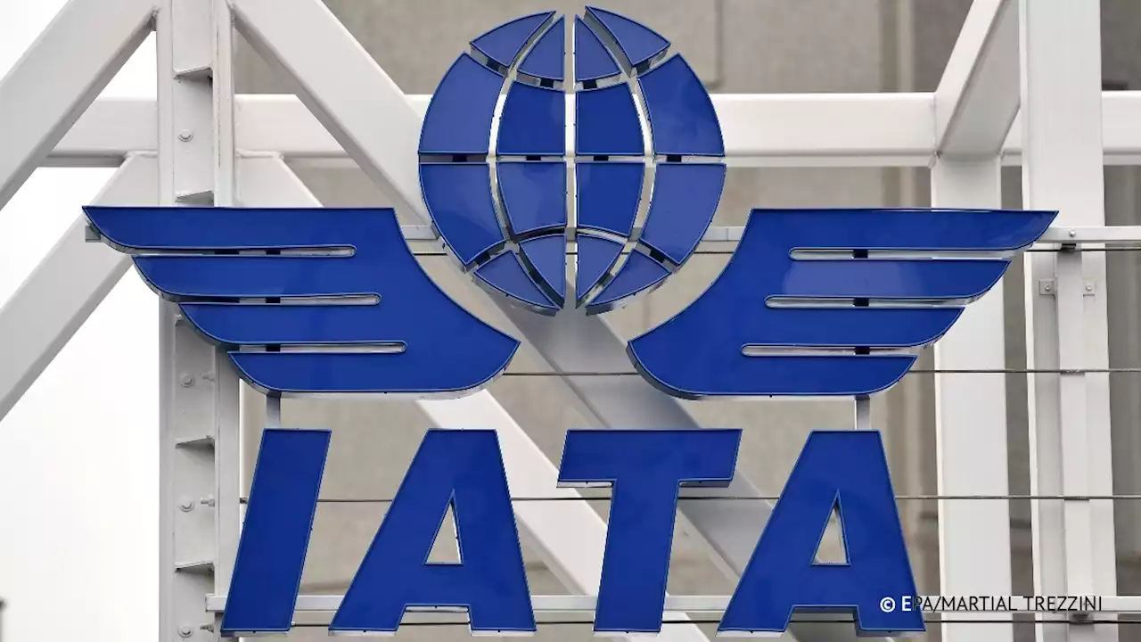 Глава IATA призвал готовиться к возобновлению полетов в воздушном пространстве РФ