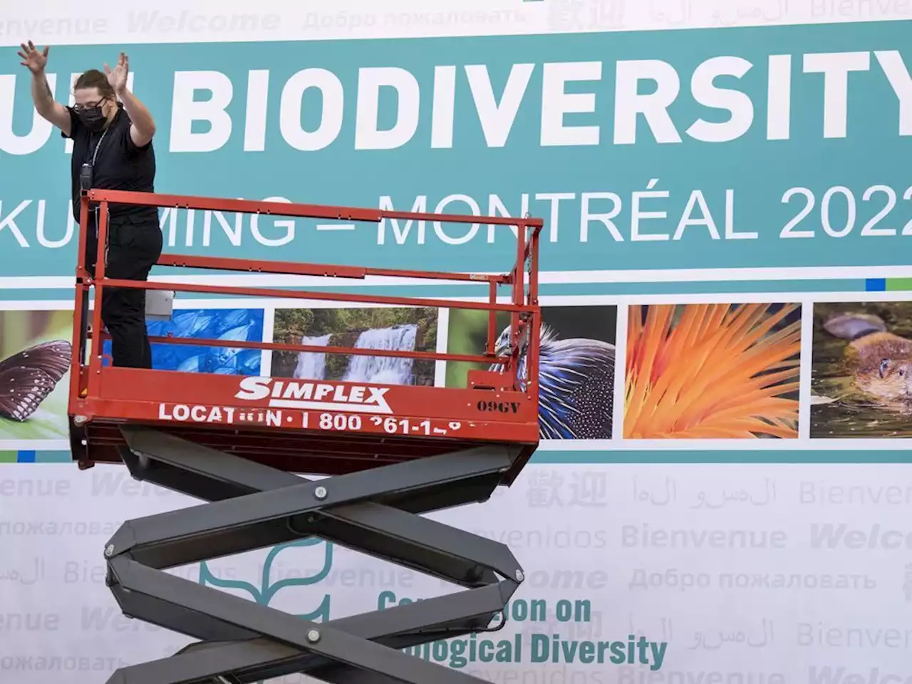 Major biodiversity conference opens in Montreal amid hope of hard conservation target