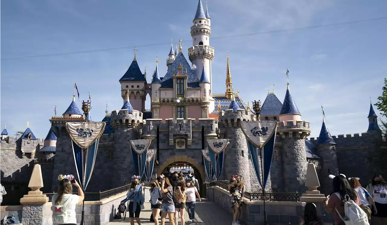 California principal accused of child endangerment leaps to death at Disneyland