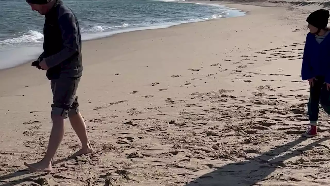 Family Finds Very Rare Blue Lobster On Cape Cod Beach - Videos from The Weather Channel