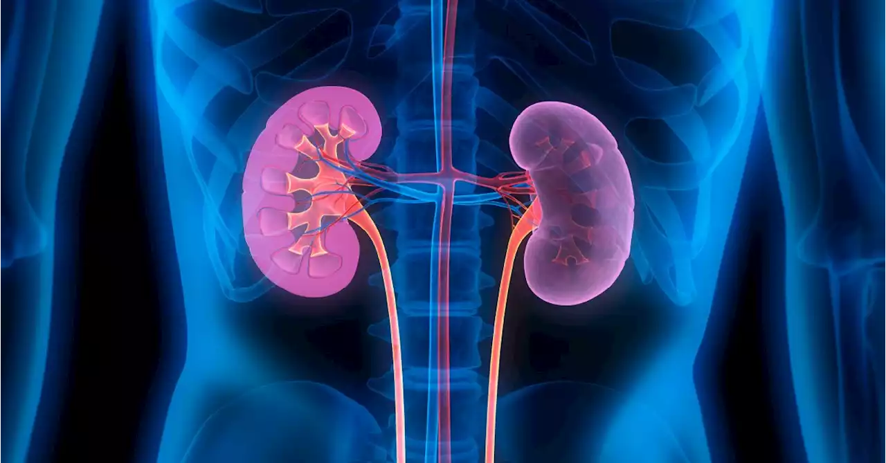 What to Know About Supplements and Your Kidneys