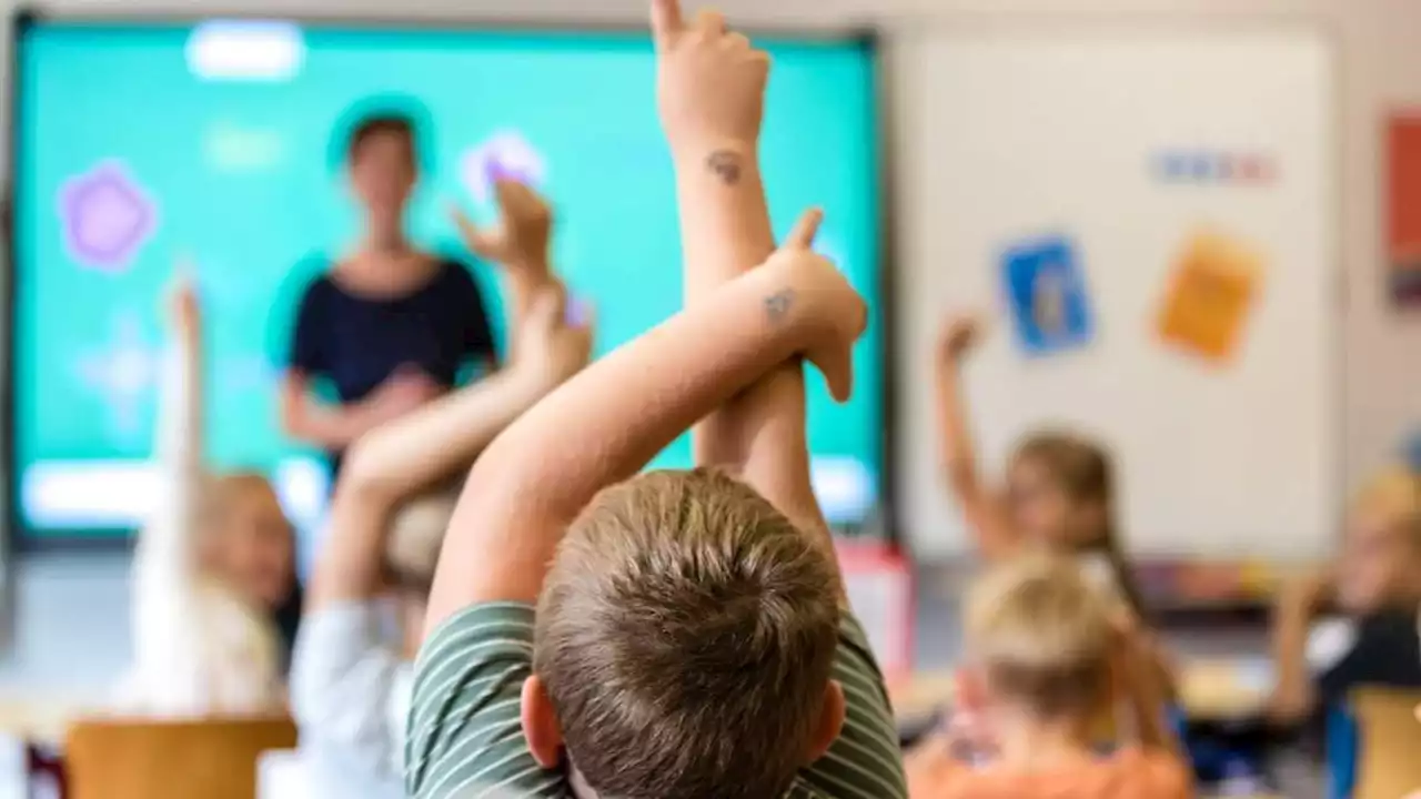 wie die grippewelle kitas und schulen unter personellen druck setzt