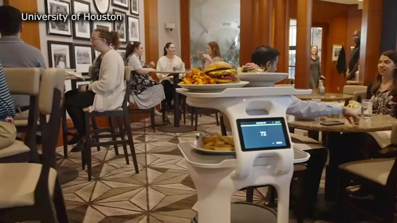 'Servi' a robot food server joins UH Hilton College restaurant staff for students to evaluate impact