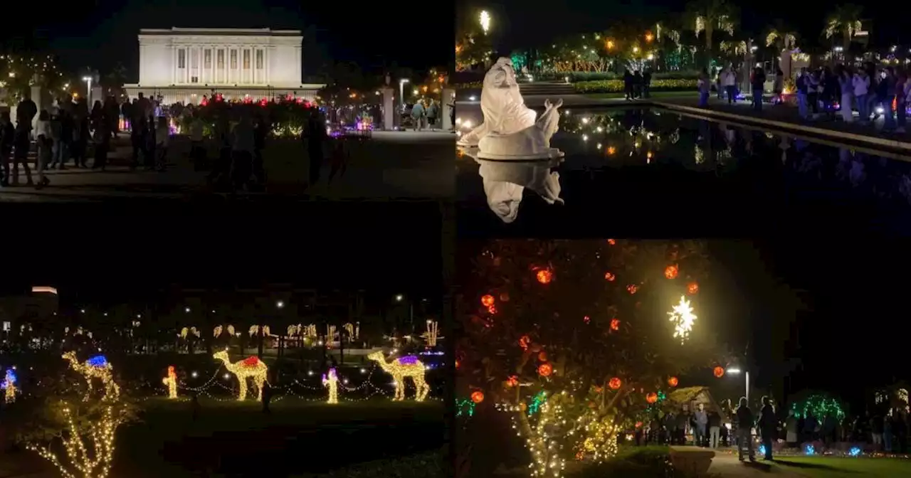 Mesa Arizona Temple Christmas Lights return, here’s what you need to know