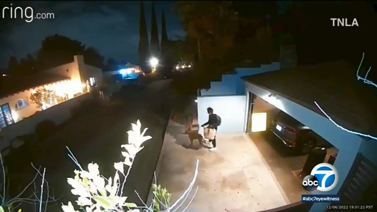 Caught on video: SoCal man, dog have close encounter with mountain lion believed to be P-22