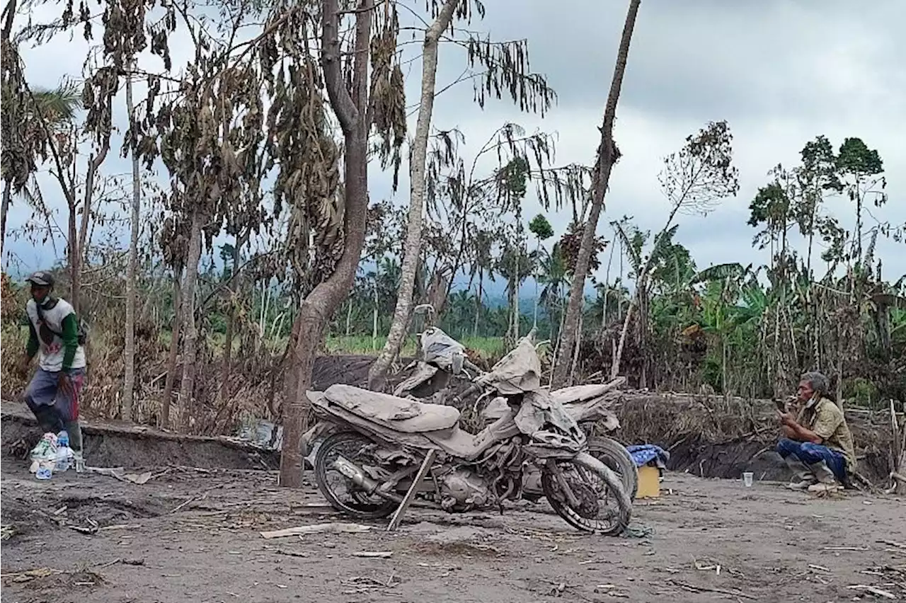 Pemerintah masih menetapkan status Awas pada Gunung Semeru