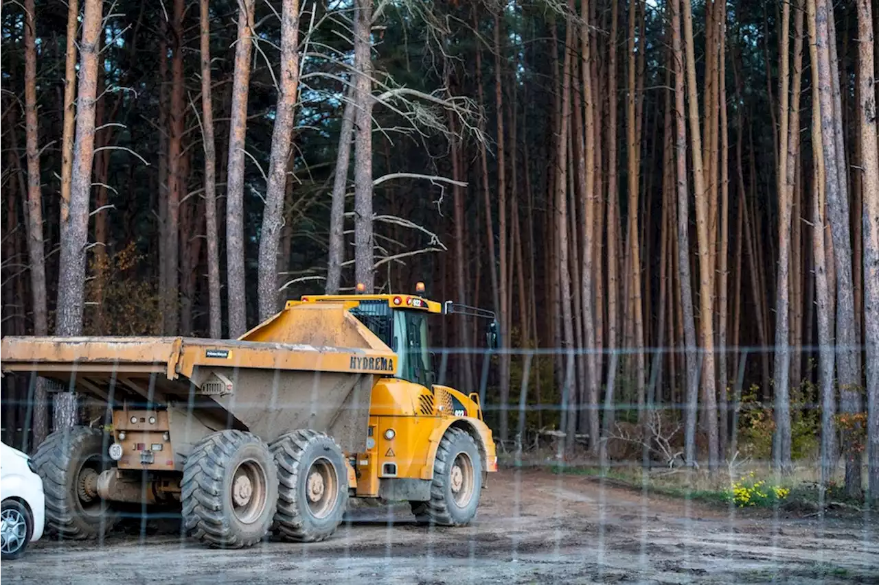 Nach Streit: Tesla sucht jetzt bei Fürstenwalde selbst nach Grundwasser