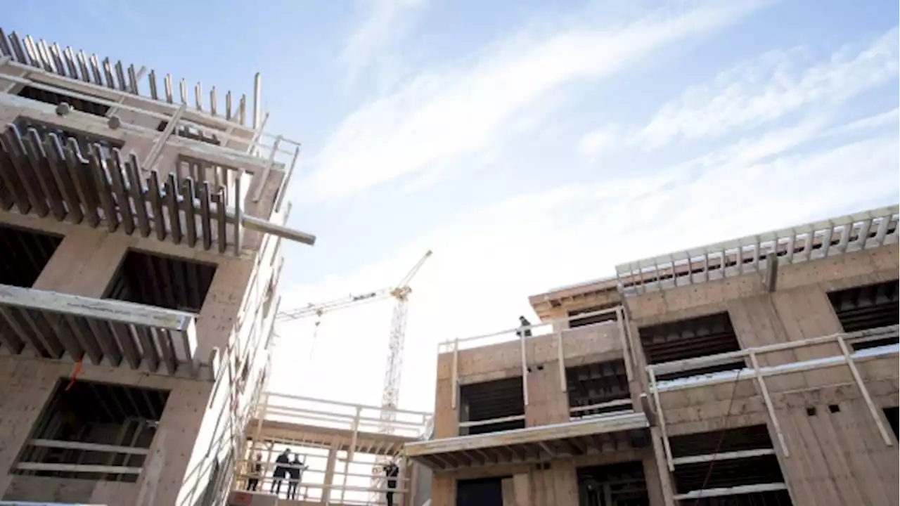 Renting increased by three times the rate of home ownership in last decade: RBC - BNN Bloomberg