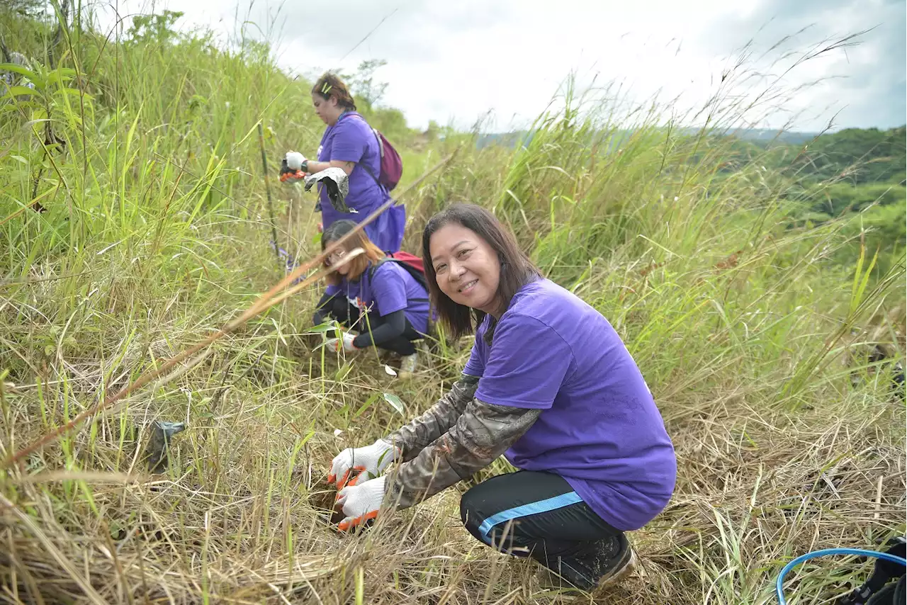 FedEx Helps Reforest Sierra Madre Mountain Range With Haribon Foundation - BusinessMirror