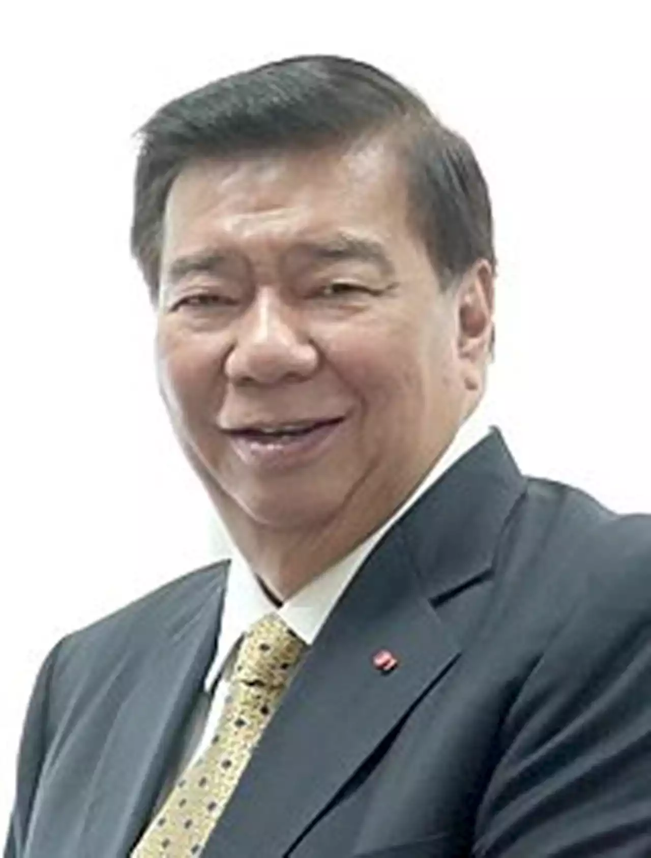 Not the right time for sovereign wealth fund–Drilon, Barcelon - BusinessMirror