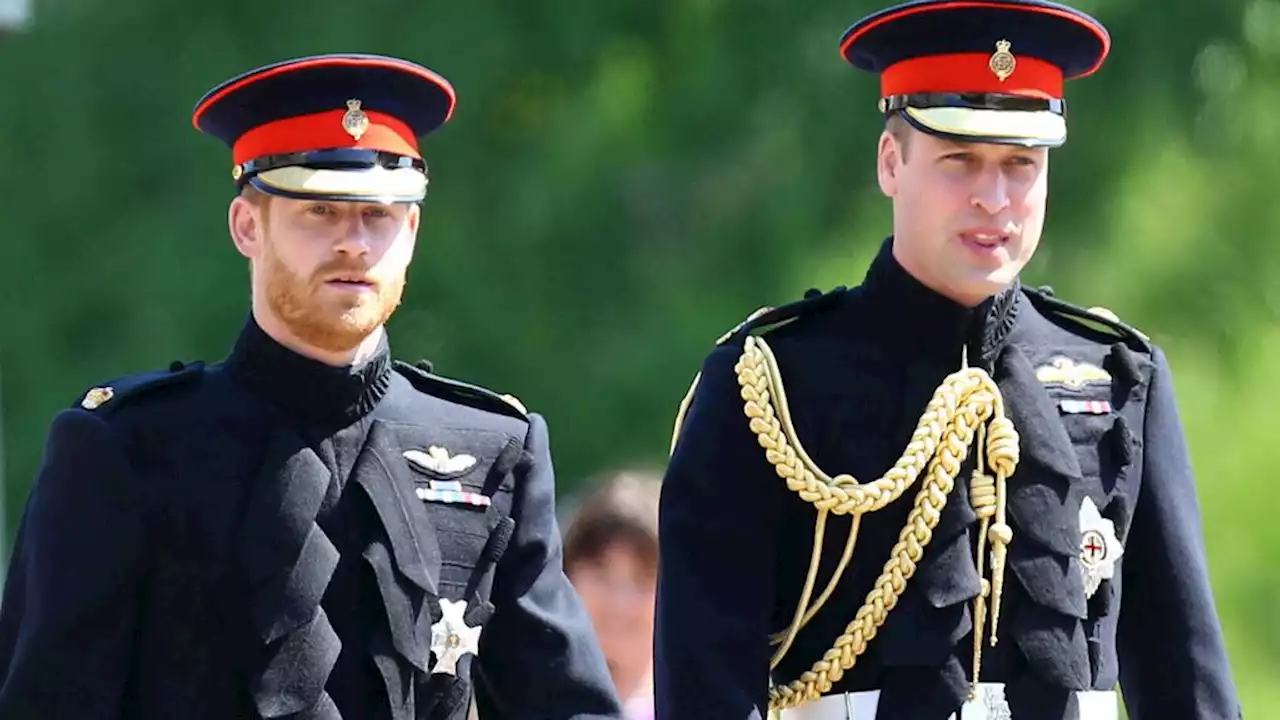 Harry et William : malgré les tensions, ils s'unissent pour une bien triste raison