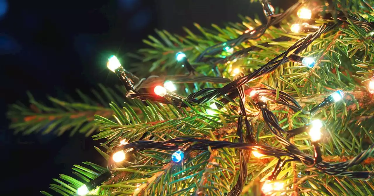 Simple Christmas tree hack that makes lights 'appear brighter'