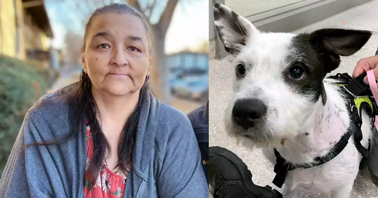 Wheat Ridge Walgreens employee saves dog from strangulation death