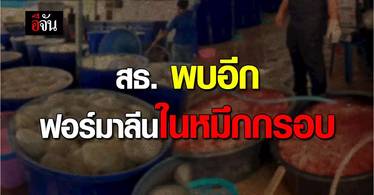 กรมอนามัย ลุยตรวจ ร้านหมูกระทะชลบุรี พบ ฟอร์มาลีน ใน หมึกกรอบ - สไบนาง