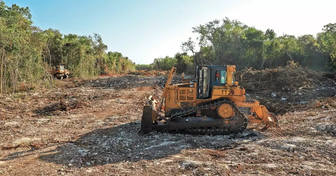 Ambientalistas solicitan a gobierno mexicano informe sobre el Tren Maya, en el marco del T-MEC