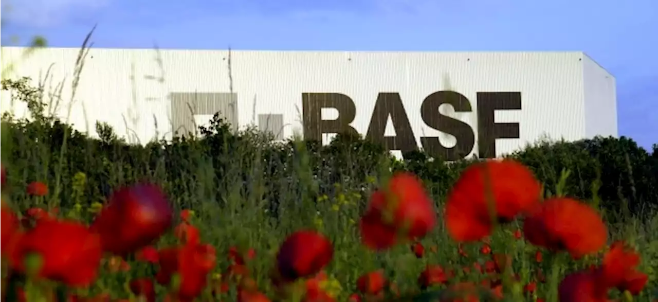 BASF-Aktie gibt ab: Hohe Gaspreise belasten