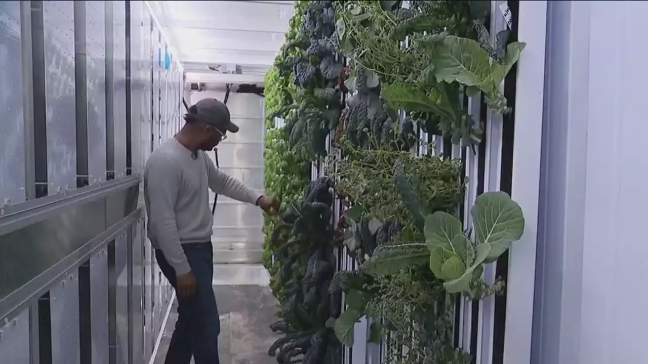 Mokena tiny farm brings fresh foods to impoverished communities