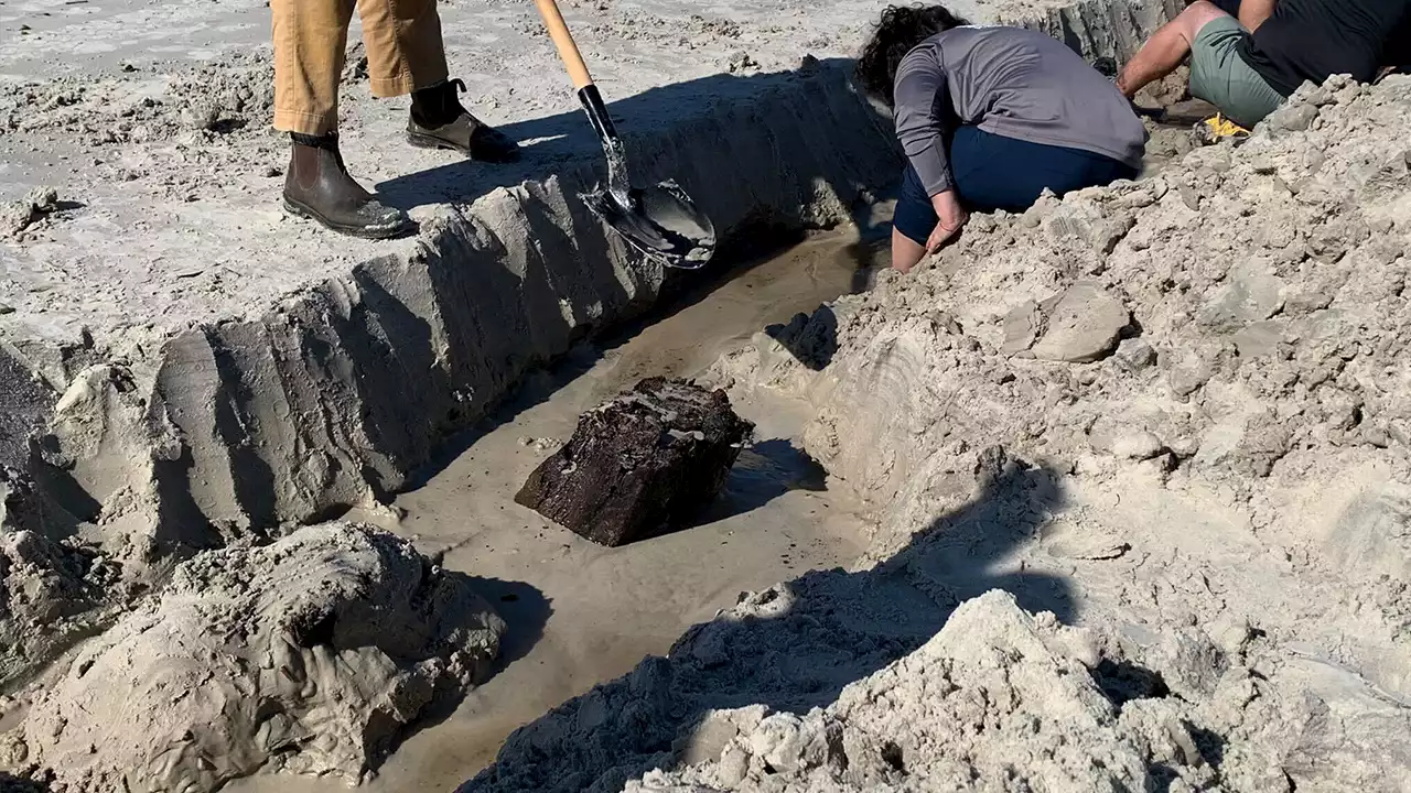 Florida beach's mystery debris uncovered by Hurricane Nicole likely shipwreck from 19th century