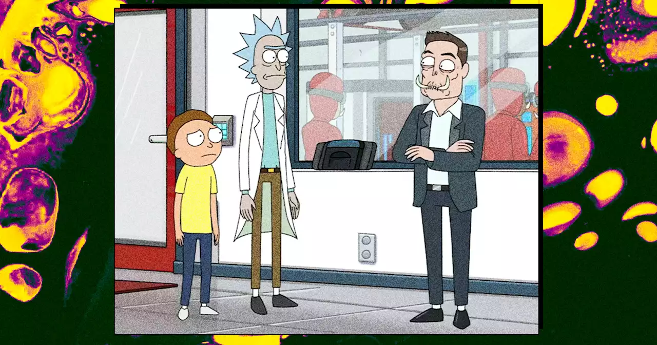 Rick and Morty Fans Now Embarrassed by Elon Musk's 'Cringe' Cameo