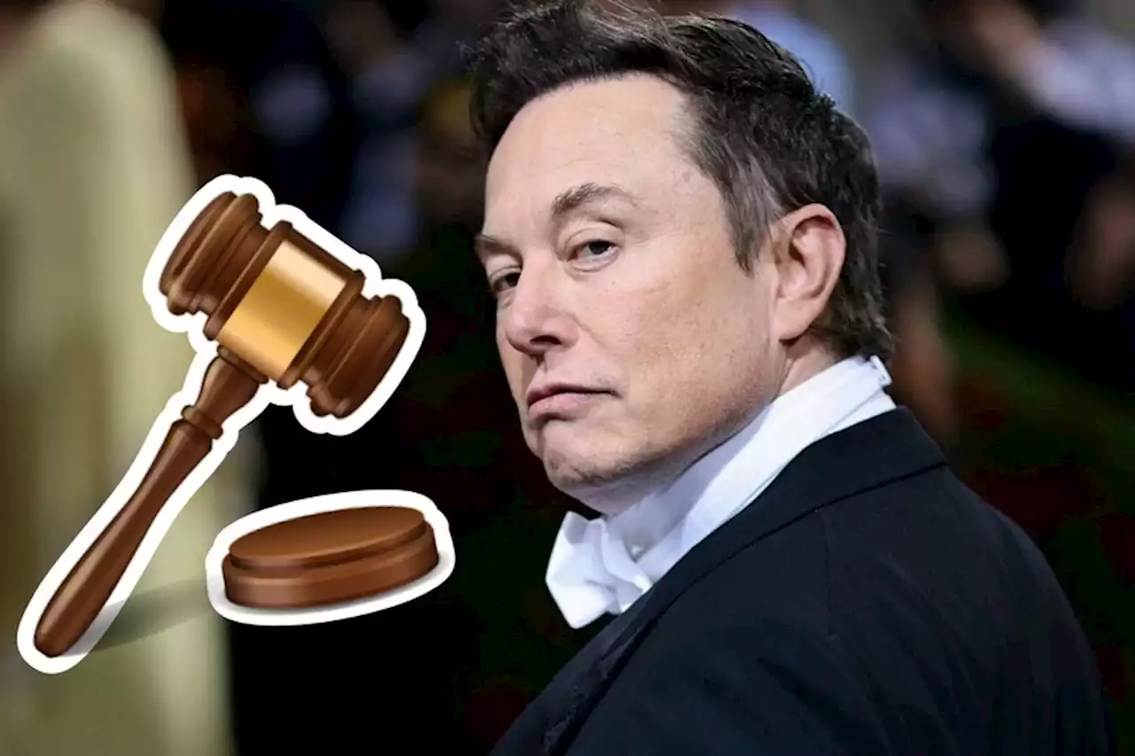 Elon Musk se enfrentará a miles de demandas de los ex-trabajadores de Twitter por despedirlos inhumanamente