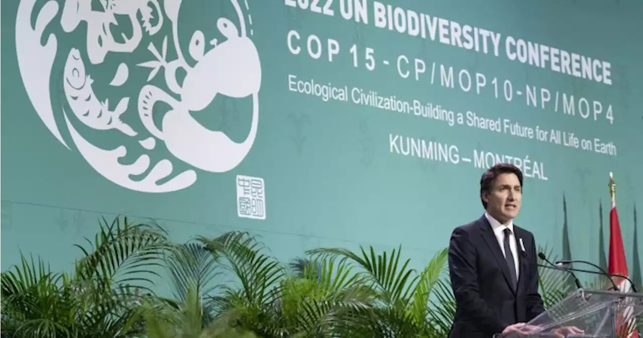 ‘Nature is under threat,’ Trudeau warns to open COP15 biodiversity conference | Globalnews.ca