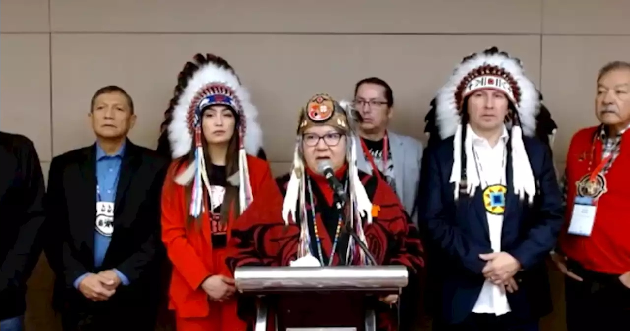 Treaty Chiefs demand Bill 1, Bill 88 be withdrawn from Alta., Sask., governments | Globalnews.ca