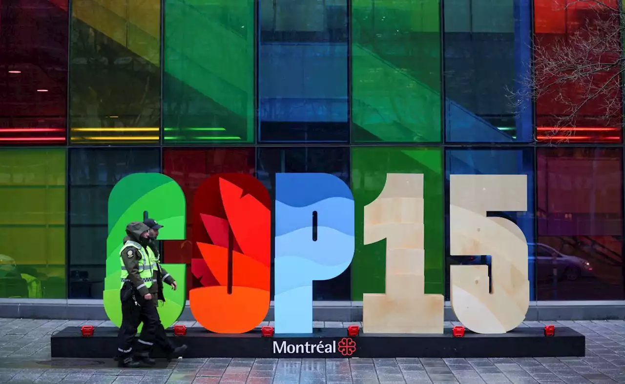 Biodiversity negotiators face uphill climb at COP15 in Montreal