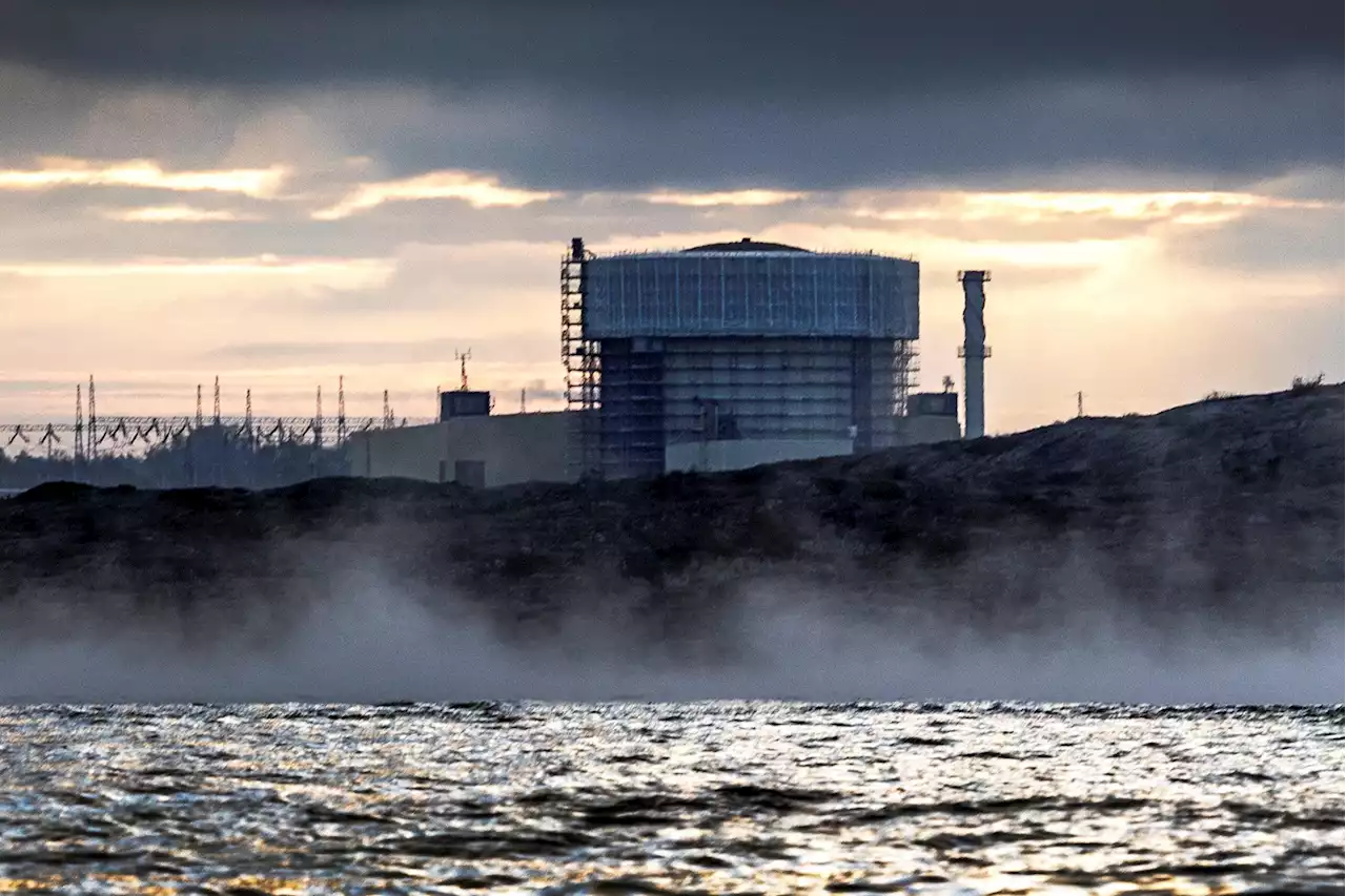 Ringhals 3 måste köra på halv effekt till helgen