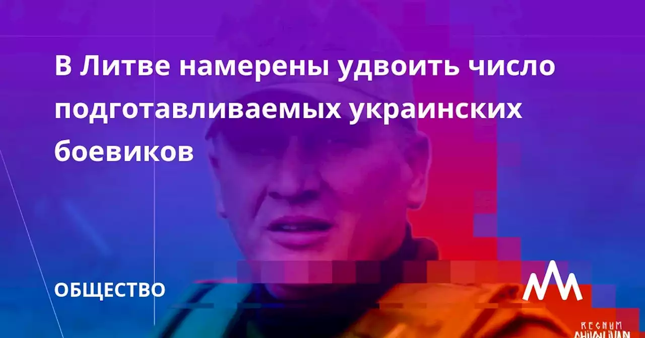 В Литве намерены удвоить число подготавливаемых украинских боевиков