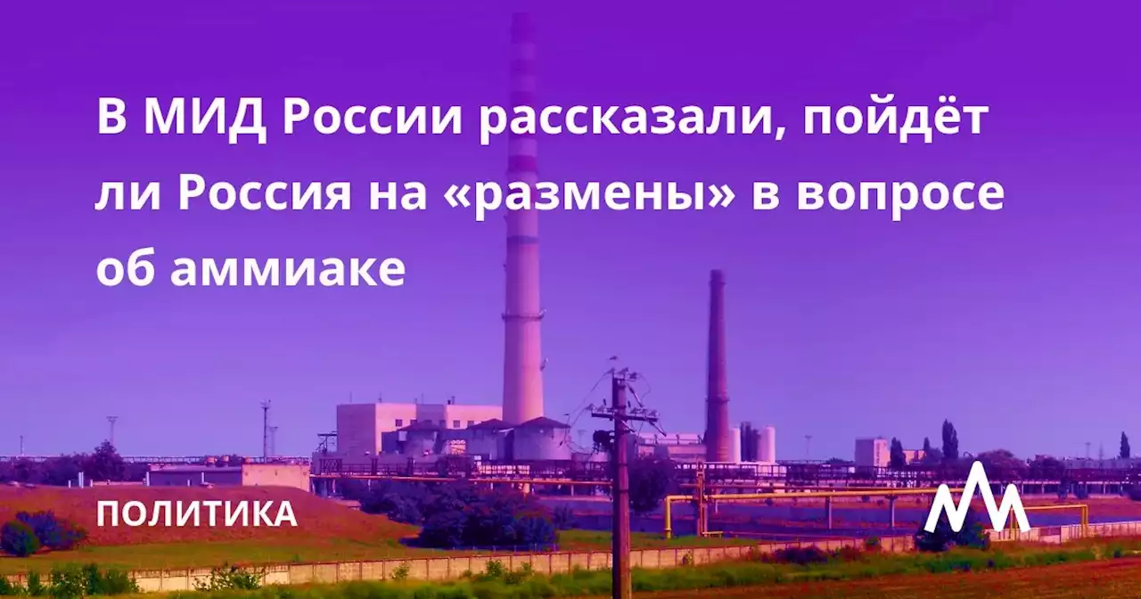 В МИД России рассказали, пойдёт ли Россия на «размены» в вопросе об аммиаке