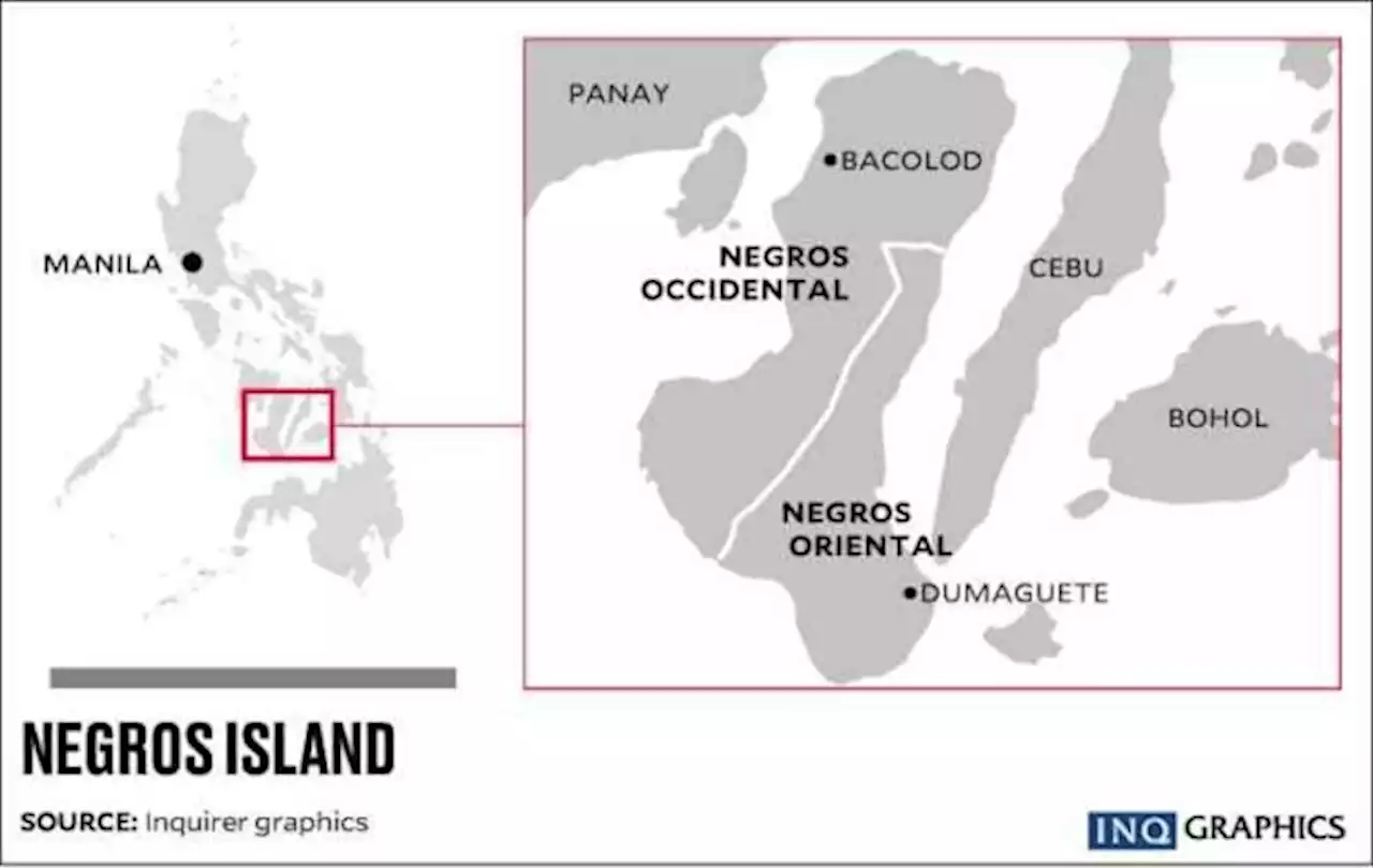 Negros governors split on Negros Island Region revival